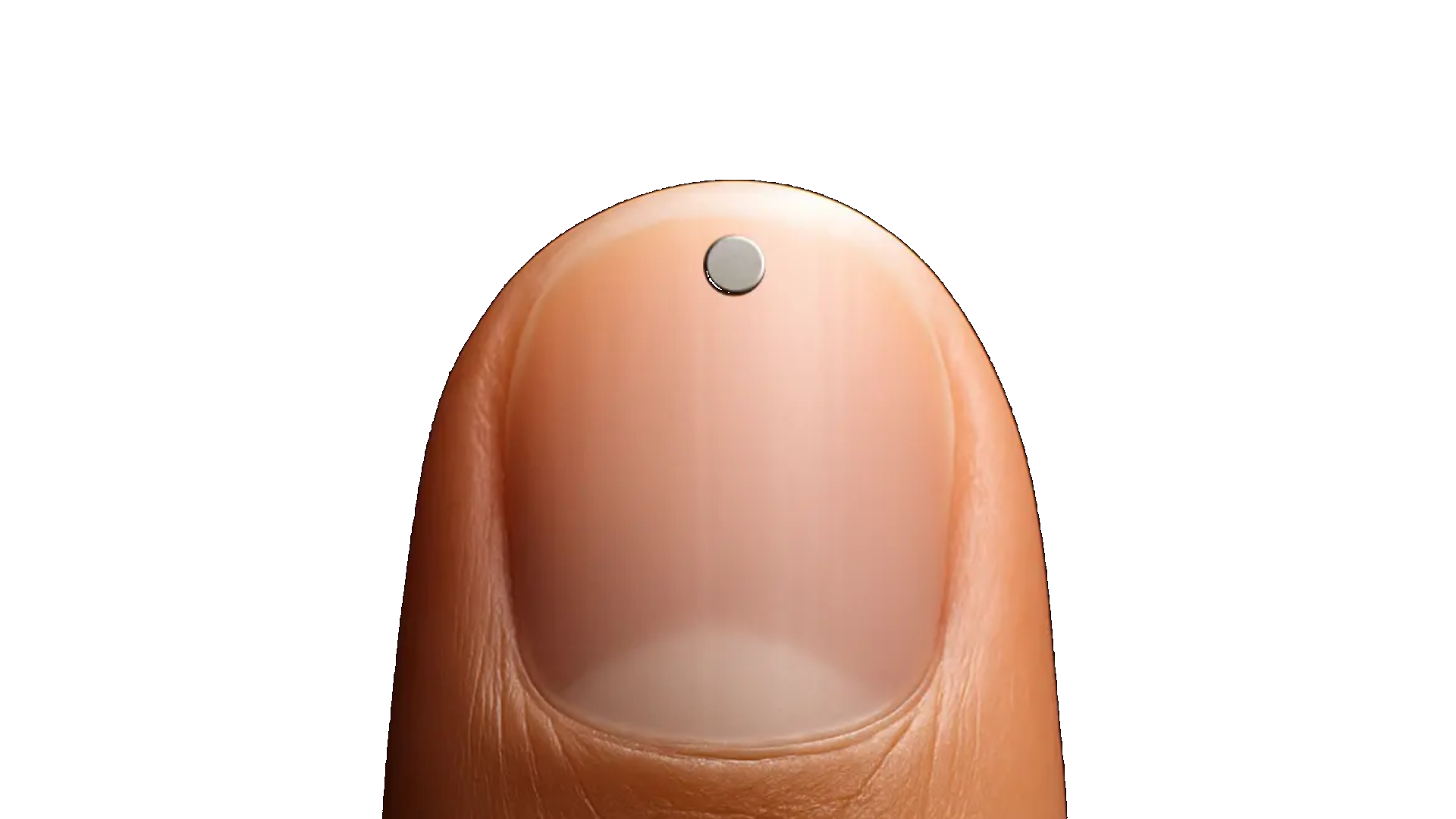 GEXT Mag demonstration